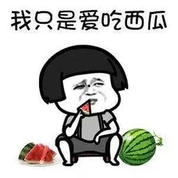 瓜圈吃瓜娱乐圈,揭秘娱乐圈的吃瓜盛宴