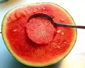 娱乐吃瓜酱美玉